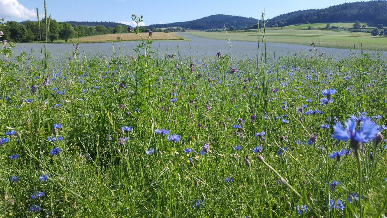 Saint-Arcons-de-Barges Le Marconnes B&B 외부 사진
